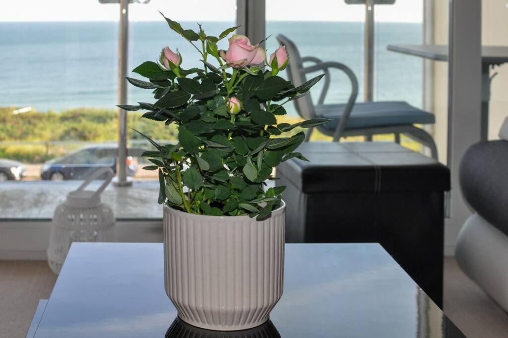 Soho Beach With Fabulous Sea View And 2 Minutes To The Beach With Free Parking And Netflix Apartment *